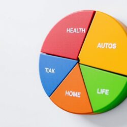 Annual Insurance Premiums Breakdown